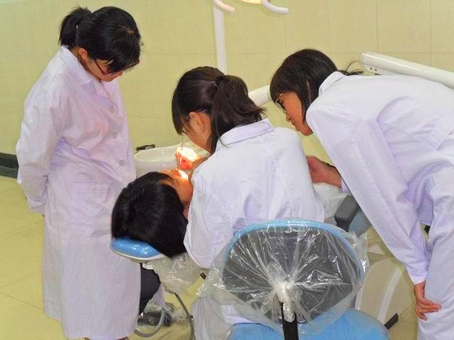 关于成都护理职业技术学校分数线的信息