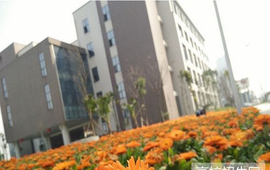 成都职业技术学校地址(成都职业技术学校在线教育平台)