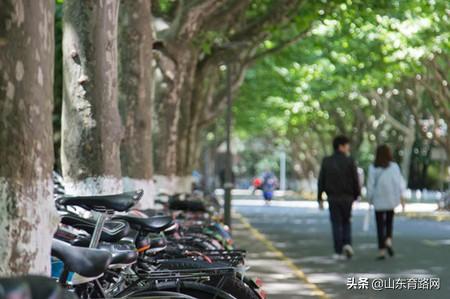 高铁乘务条件(高铁应聘需要什么条件)