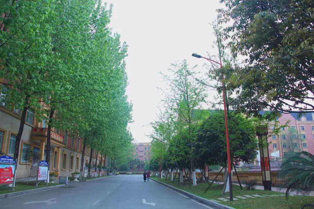 成都郫县有哪些学校(郫县公立职高有哪些学校)