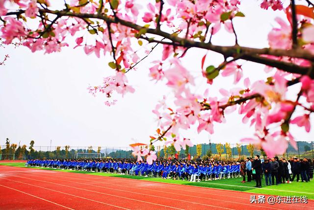 四川现代艺术学校(四川现代艺术学校蛟龙校区好不好)