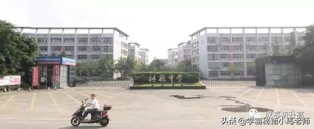 成都实用学校公办(地址成都的大学分布)