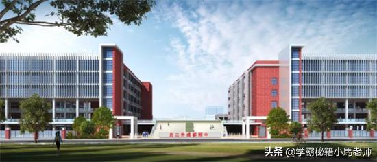 成都实用学校公办(地址成都的大学分布)