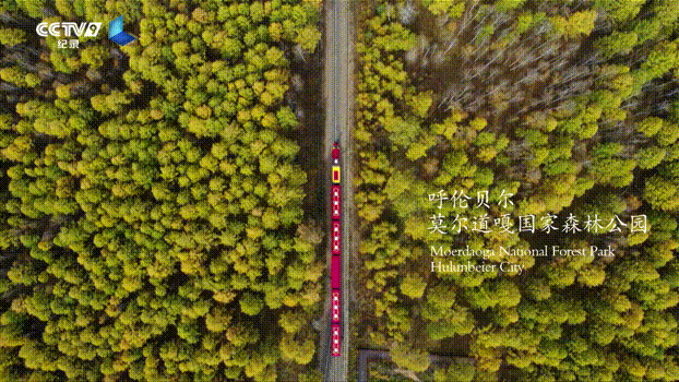 四川志翔学校好不(四川省成都志翔学校)